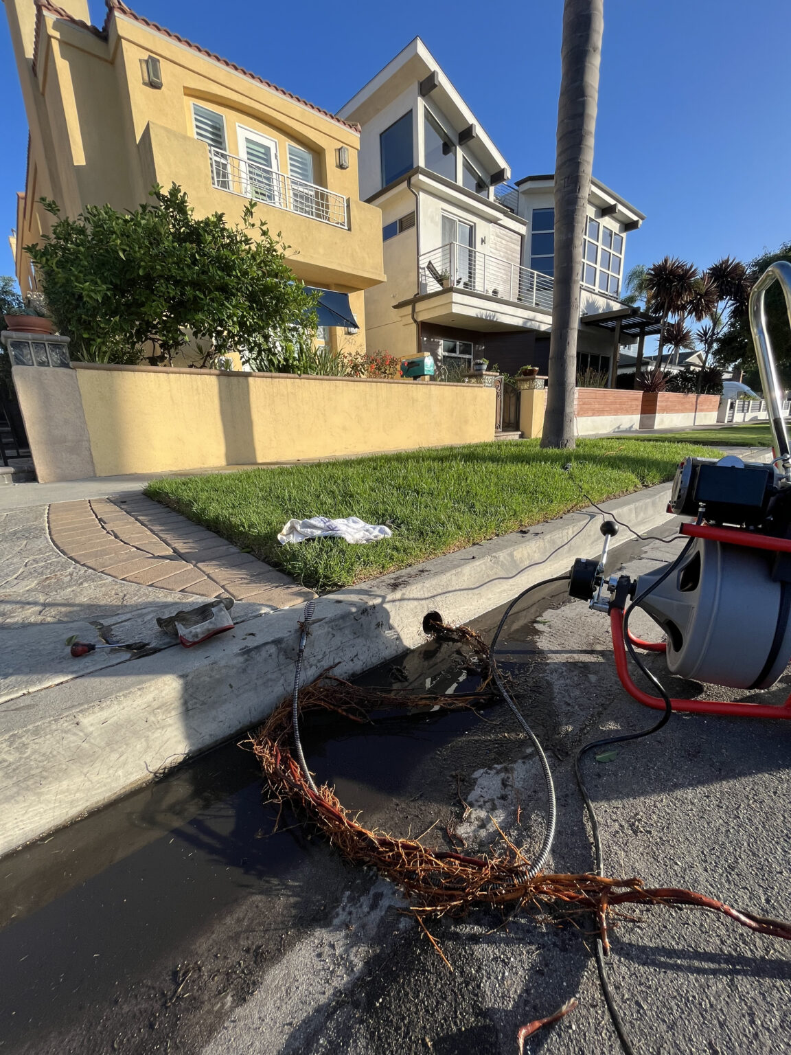 Tree roots pulled from a sewer line next to a drain cleaning machine outside an Orange County home