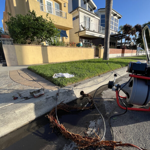 Tree roots removed from a sewer line beside a drain machine at a coastal home